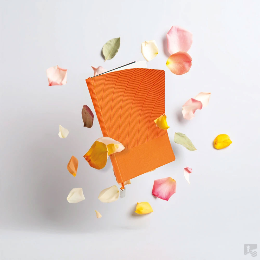 VP-İstinye-L Tarihsiz Defter